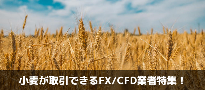 小麦のCFD取引ができる証券会社・FX業者を徹底特集！