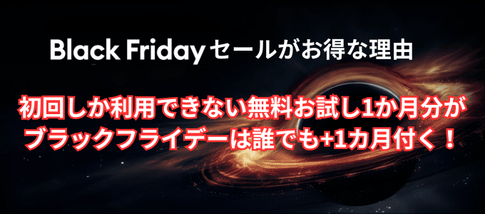 安く買う方法②：ブラックフライデーを待つ